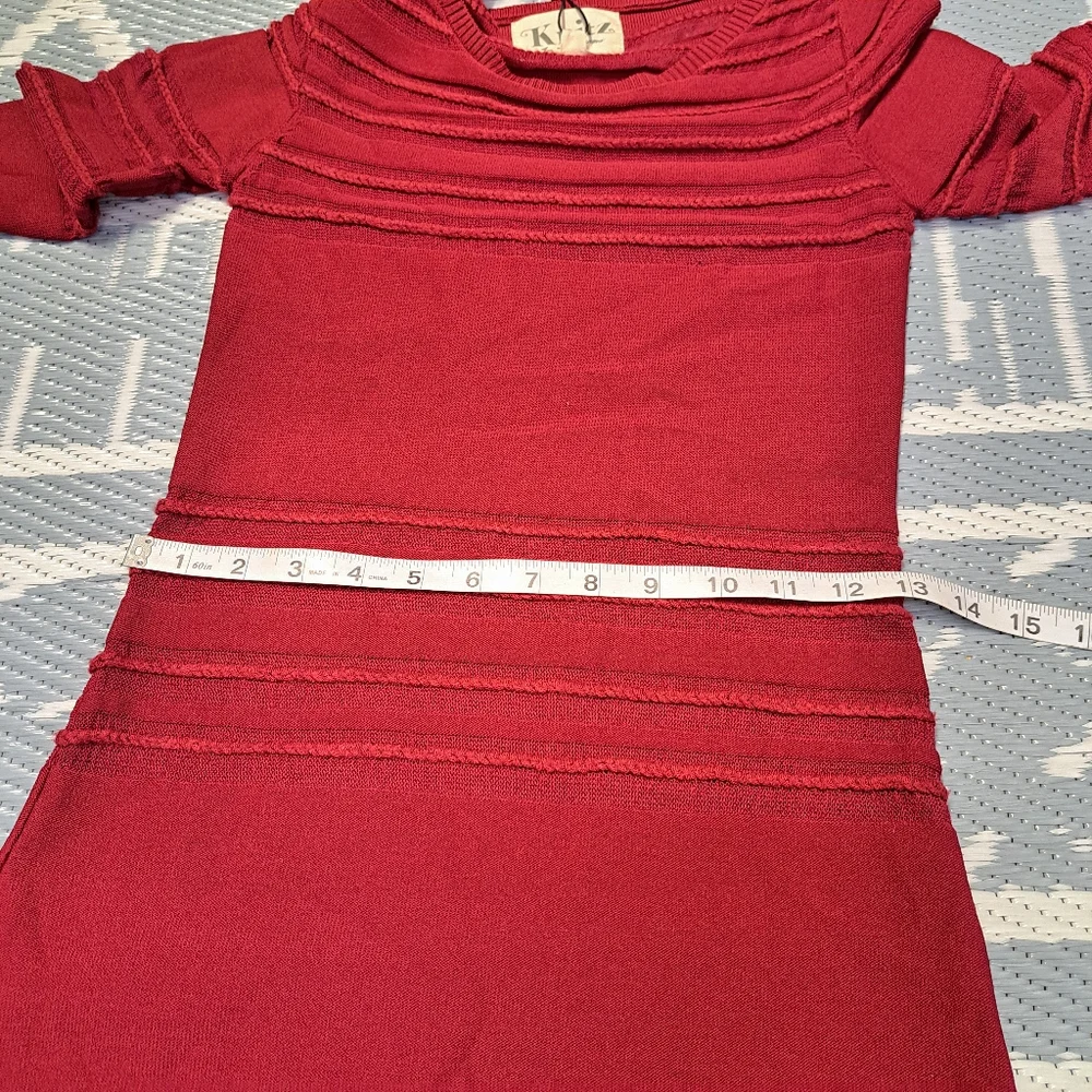 For Love And Lemons Burgundy Sheer-Stripe Ruffle Mini Dress - Picture 7 of 10